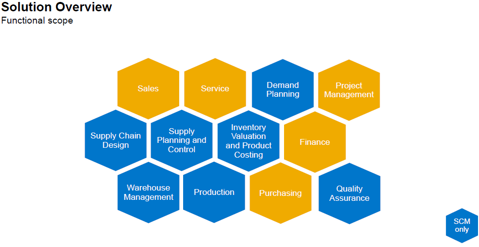 Netizen ByDesign Arabica Functional Scope Solution Overview